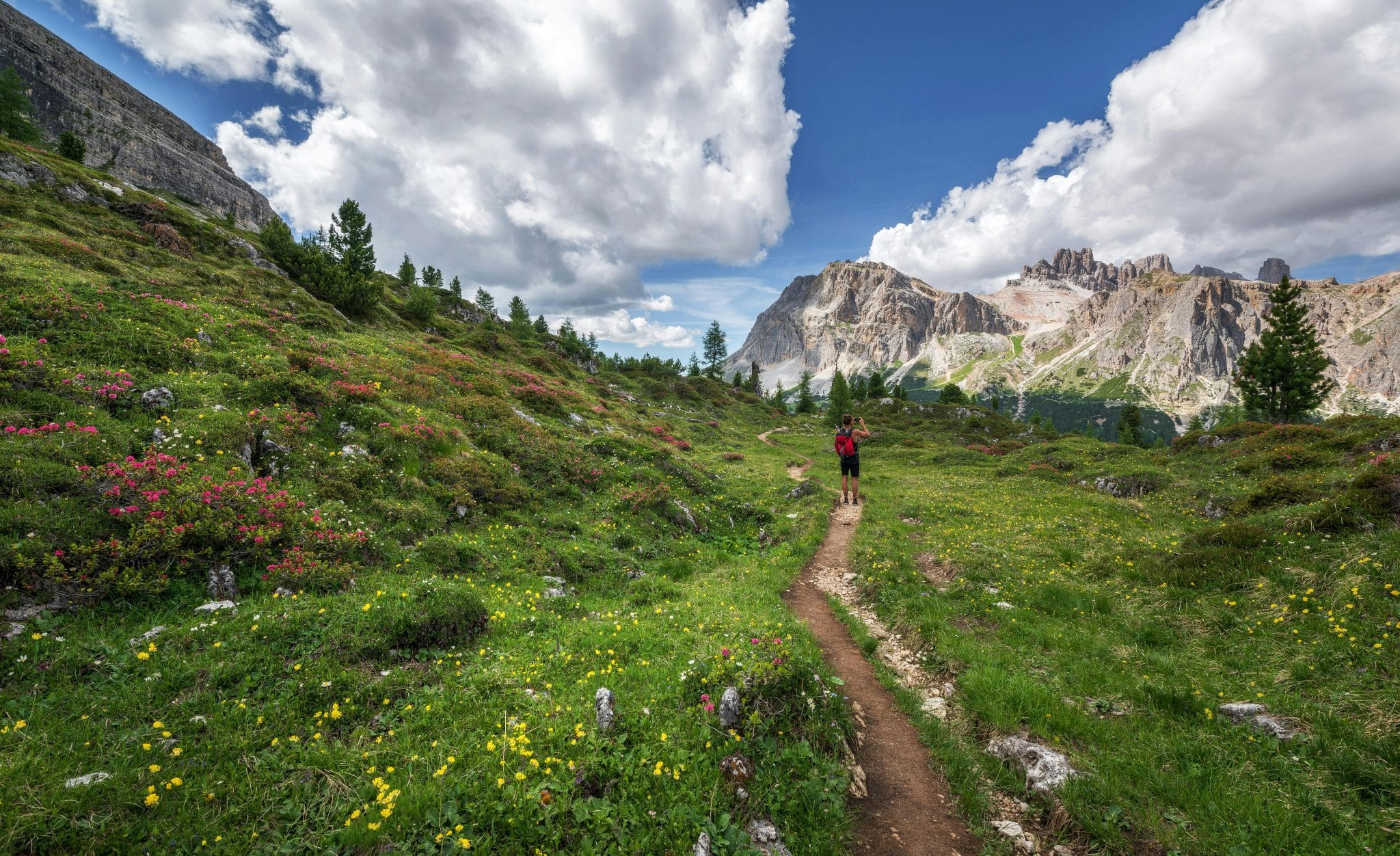 débuter trail running